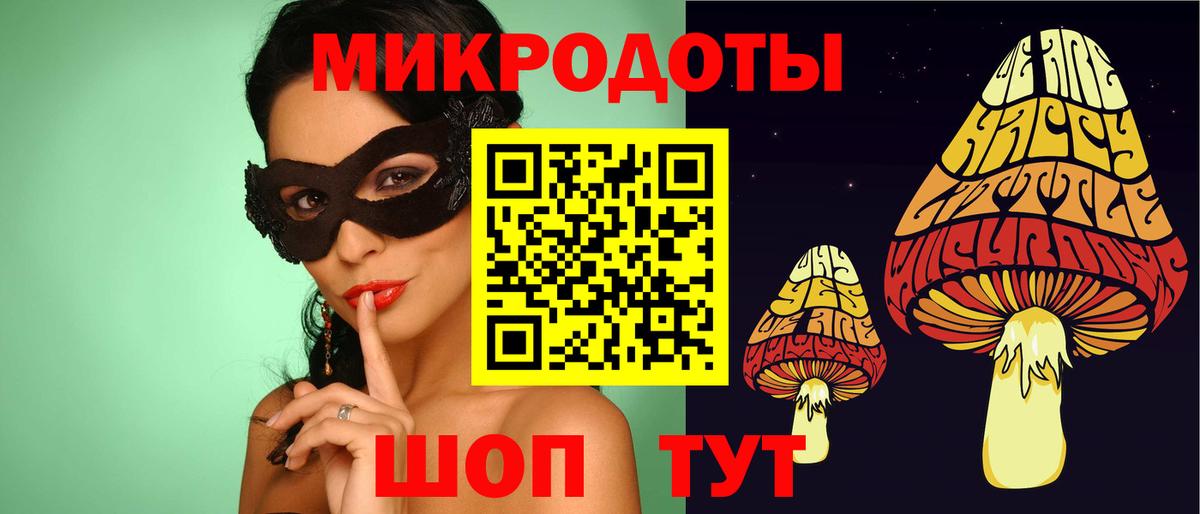 Балашов  Псилоцибиновые грибы Cubensis  Вход с VPN 